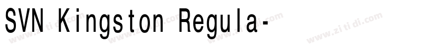 SVN Kingston Regula字体转换